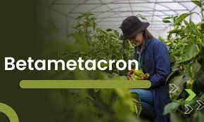 Is Betametacron Right for You? A Comprehensive Guide